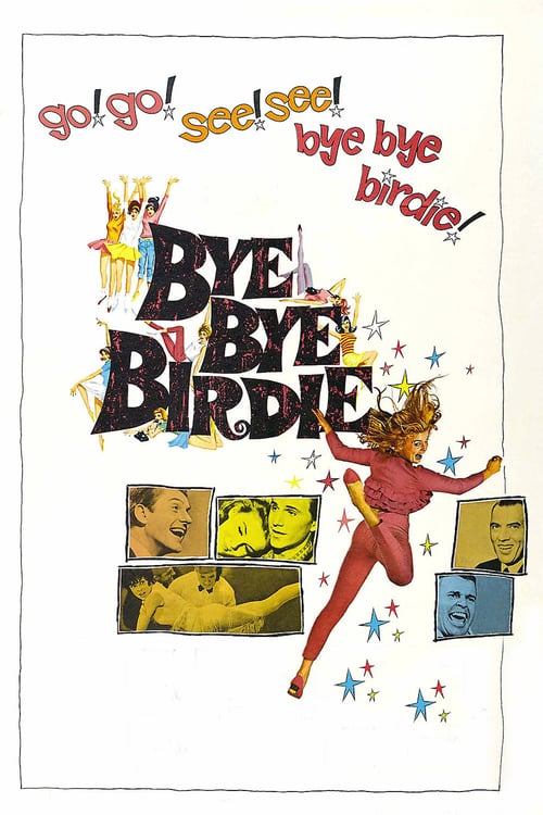 Bye Bye Birdie Bye Bye Birdie