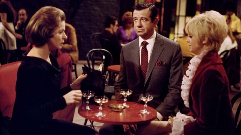 Cactus Flower Cactus Flower