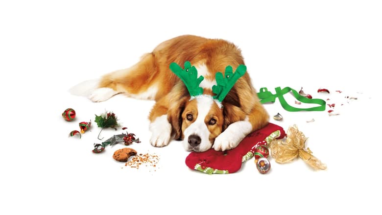 Love the Coopers Love the Coopers