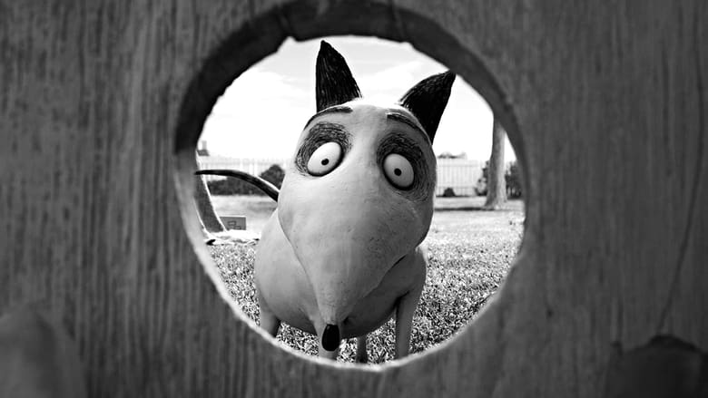 Frankenweenie Frankenweenie